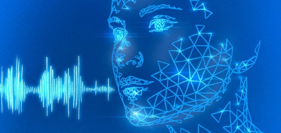 Numerical simulation & modelling