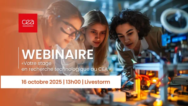 Plan de travail 1 copie 2